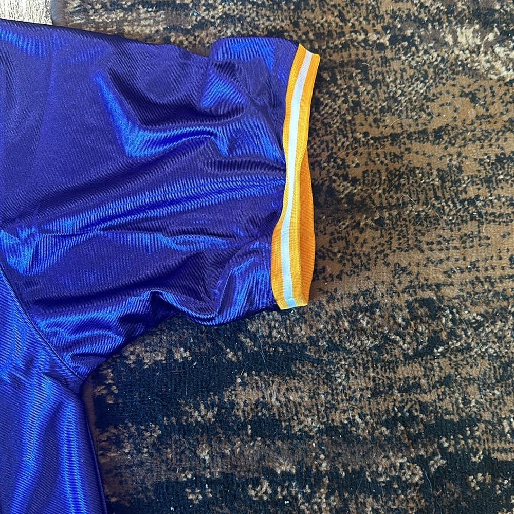 Randy Moss Minnesota Vikings jersey - Picture 4 of 5